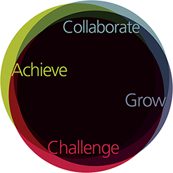 challenger values